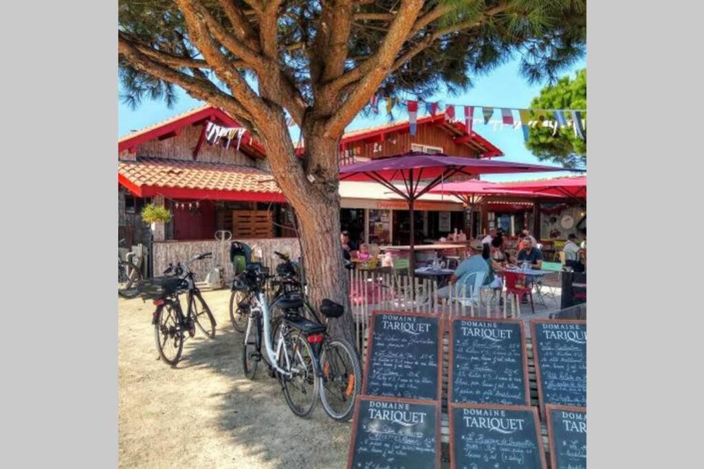 Colibri Appart' T2 Au Coeur Du Bassin D'arcachon Appartement Gujan-Mestras